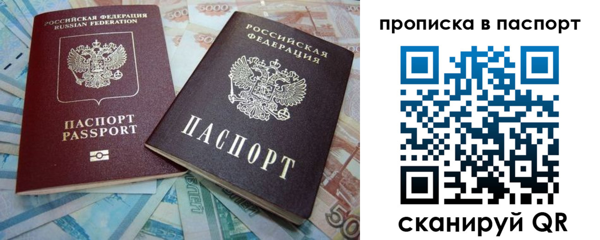 прописка поиск в Сланцах